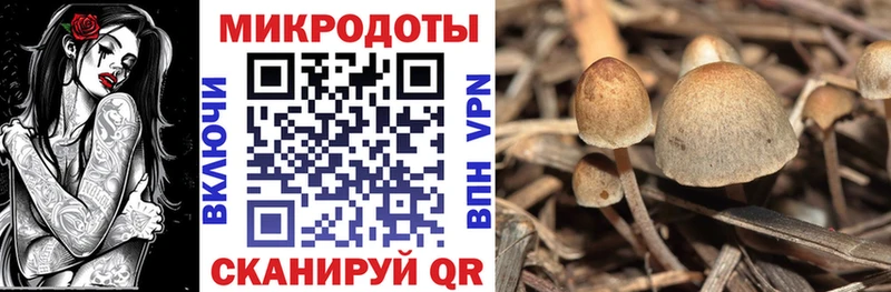 Галлюциногенные грибы ЛСД  сколько стоит  Кинель 